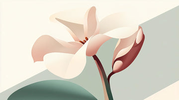 Bakuchiol et ménopause : une alternative végétale au rétinol pour une peau apaisée et régénérée.