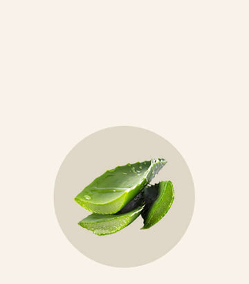 aloe vera Bouquet de Flore ménopause