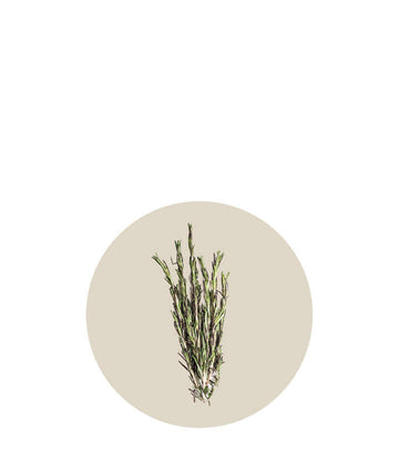 thym ménopause Bouquet de Flore