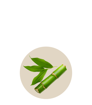 Le bambou est un ingrédient précieux pour les femmes traversant la ménopause, principalement grâce à sa teneur élevée en silice, un minéral essentiel qui offre de multiples bienfaits pour la santé, notamment :