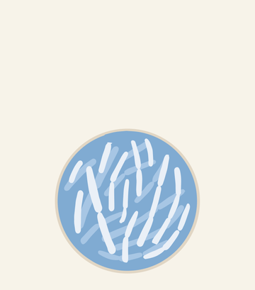 Bifidobacterium infantis