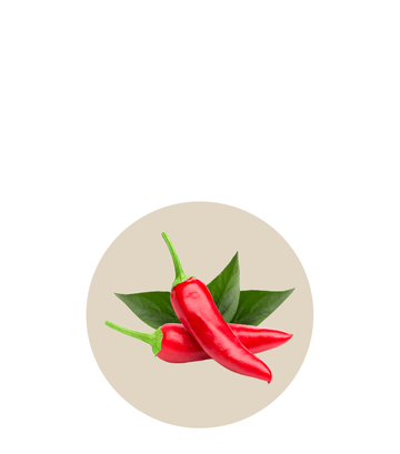 Fresh red chili peppers with green leaves, essential Oh La La ingredients for flavorful dishes.