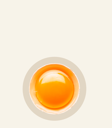 Fresh egg yolk, a key ingredient for Oh La La recipes, set against a light background for a clean aesthetic.
