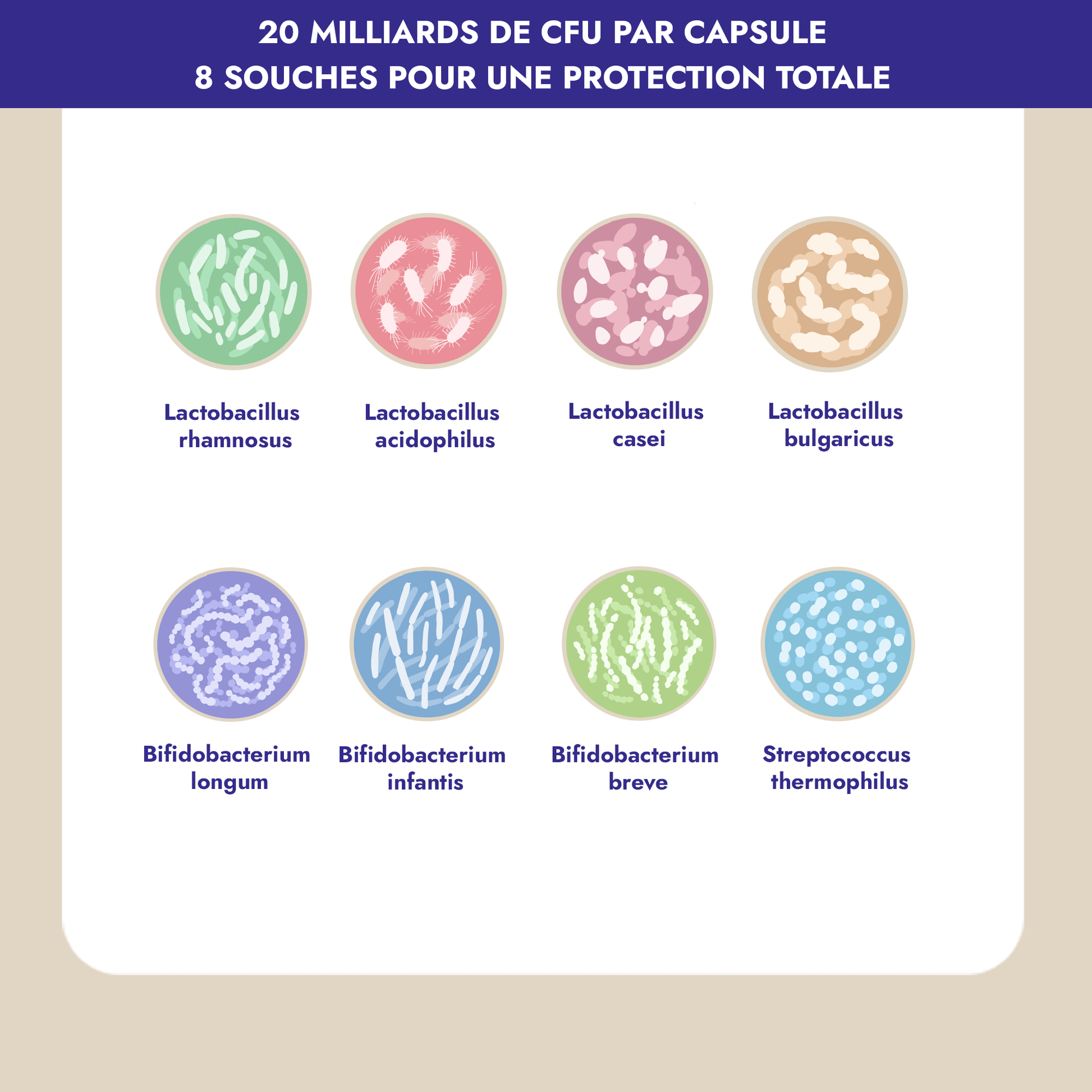 Symbiotic probiotiques est la dernière formule de probiotiques spécialement conçue pour la santé et le bien-être des femmes. Conçu spécialement pour aider les femmes en période de périménopause, ménopause et postménopause, Symbiotic probiotiques combine action sur la flore vaginale et action sur la flore intestinale, pour un bien-être accru et un système immunitaire renforcé.