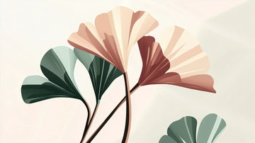 Feuilles de ginkgo biloba, plante utilisée pour soutenir la mémoire pendant la ménopause.
