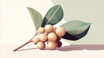 7 plantes adaptogènes pour soutenir la thyroïde