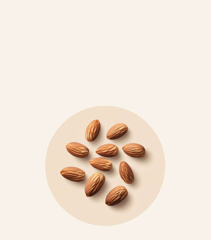 Participe à la formation des os et soutient le métabolisme, tout en ayant des propriétés antioxydantes.