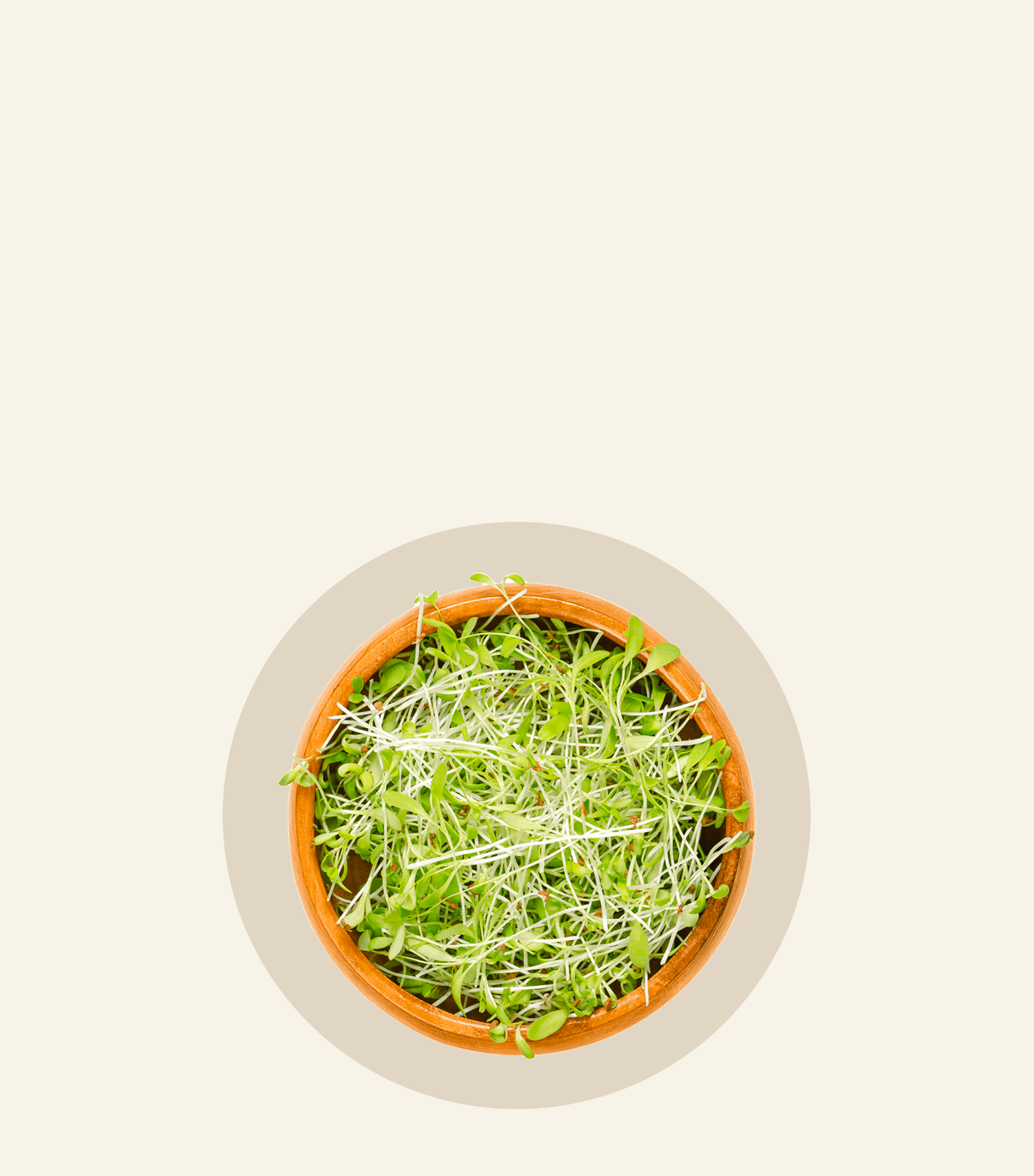 Harmonie Daily® procure un soulagement immédiat et durable aux femmes souffrant d’un ou plusieurs symptômes de la ménopause, afin qu'elles puissent rester actives toute la journée et mieux dormir la nuit.