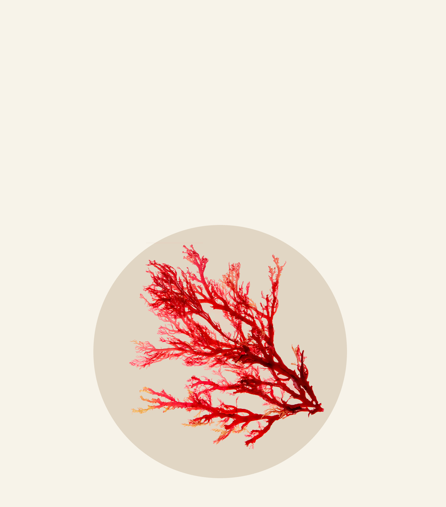 Iconique Collagène® est un complément alimentaire anti-âge et anti-imperfections formulé avec du collagène marin, de l’acide hyaluronique et l’astaxanthine, conçu pour restaurer et protéger les cheveux, les ongles et la peau affectés par le déclin du taux