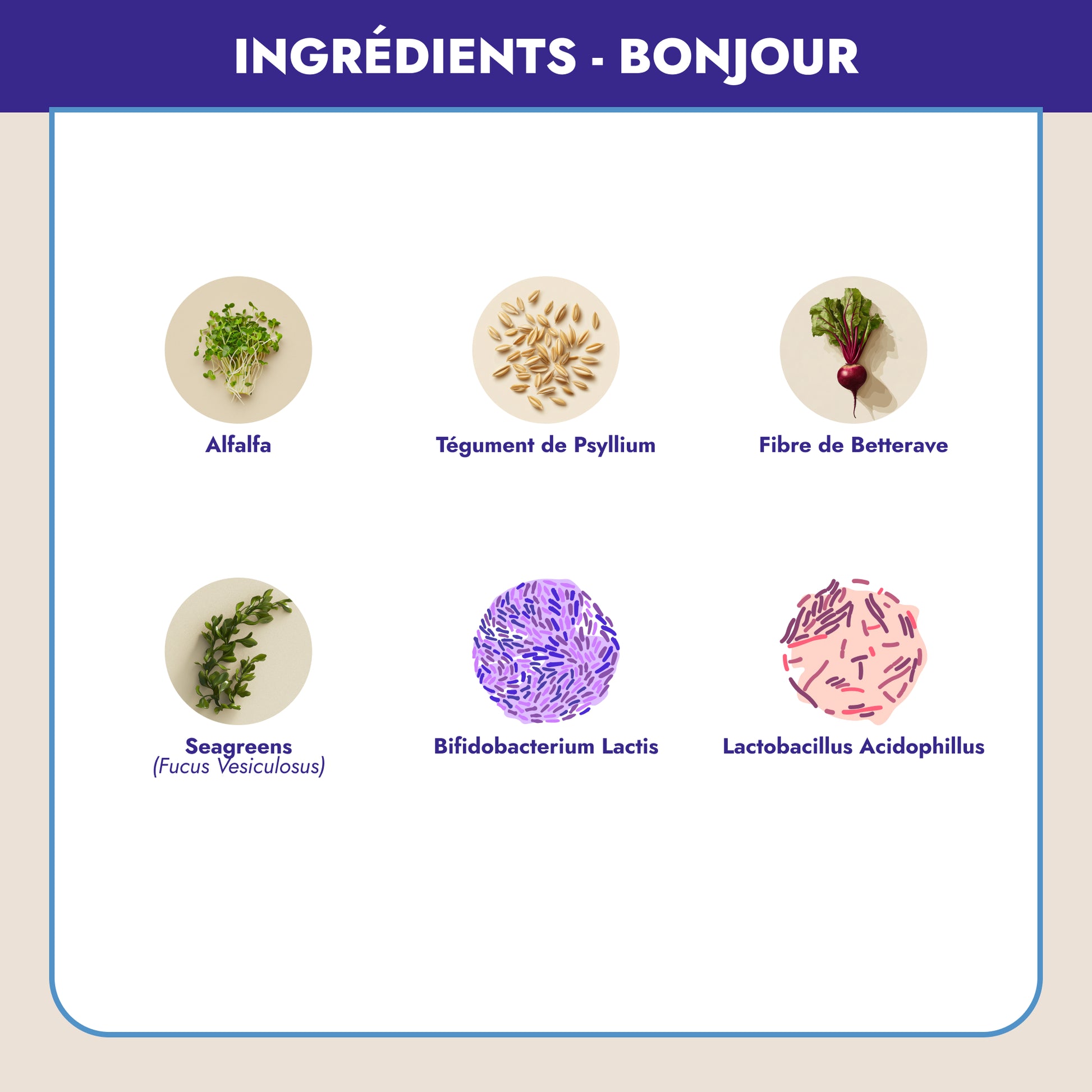 Imaginez commencer chaque journée avec une énergie renouvelée. Avec Bonjour, 23 actifs dont vitamines, minéraux, fibres et probiotiques s’unissent pour vous offrir exactement ça : vitalité, immunité renforcée, et un coup de pouce contre la fatigue.