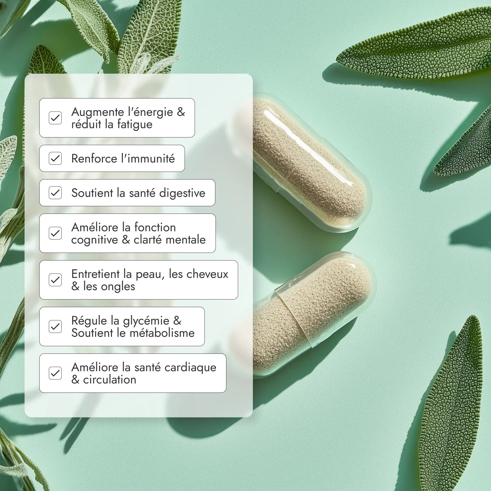 Imaginez commencer chaque journée avec une énergie renouvelée. Avec Bonjour, 17 vitamines, minéraux, fibres et probiotiques s’unissent pour vous offrir exactement ça : vitalité, immunité renforcée, et un coup de pouce contre la fatigue.