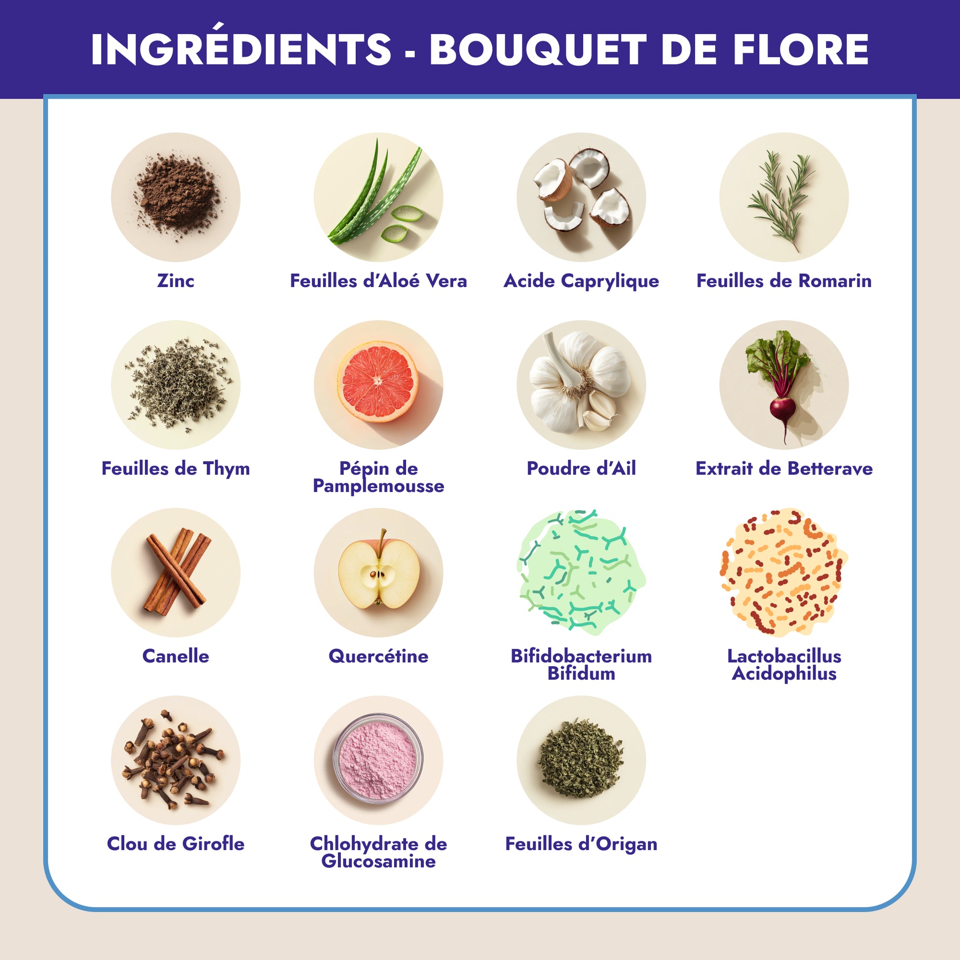 Bouquet de Flore est votre solution naturelle pour une digestion saine et une détoxification efficace pendant la ménopause. Cette formule exclusive, enrichie en plantes actives et probiotiques, combat la prolifération de Candida, soulage les ballonnements et les gaz, et renforce votre immunité.