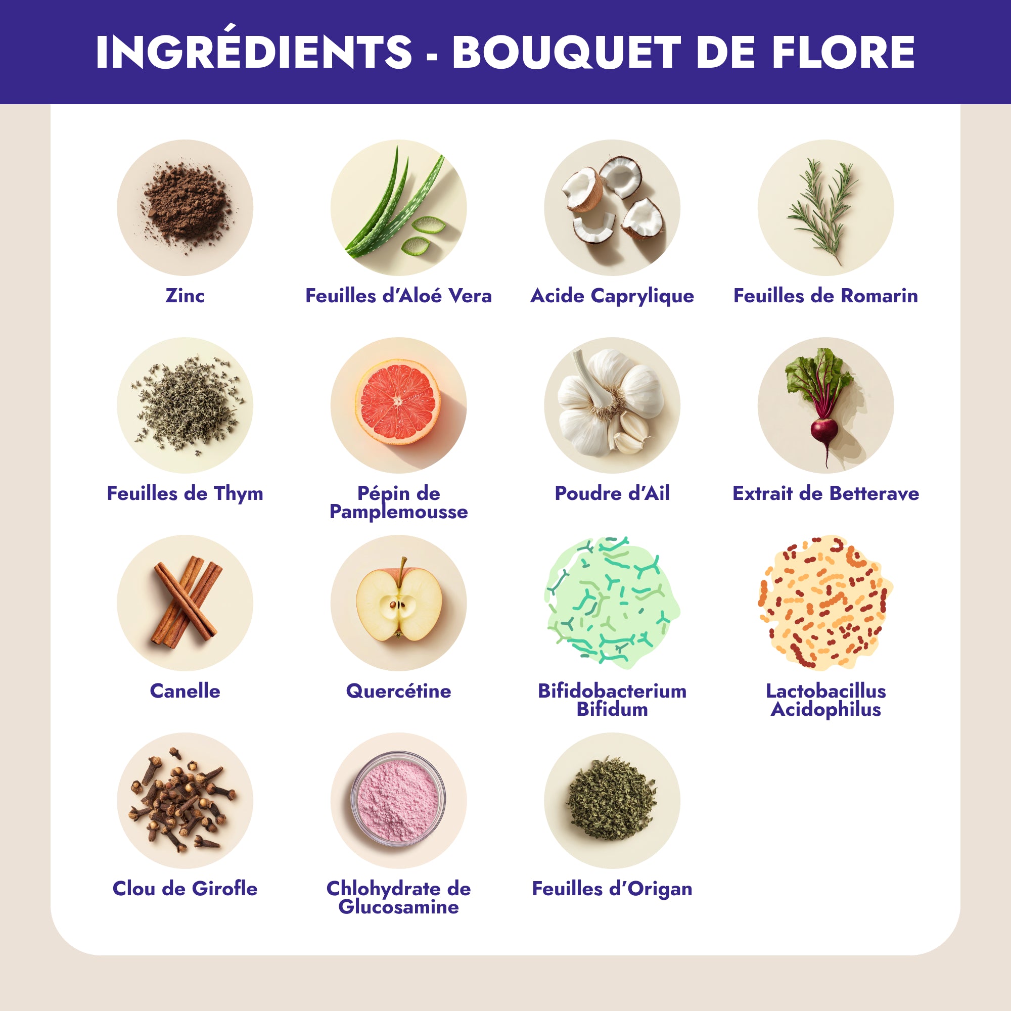 Bouquet de Flore est votre solution naturelle pour une digestion saine et une détoxification efficace pendant la ménopause. Cette formule exclusive, enrichie en plantes actives et probiotiques, combat la prolifération de Candida, soulage les ballonnements et les gaz, et renforce votre immunité.