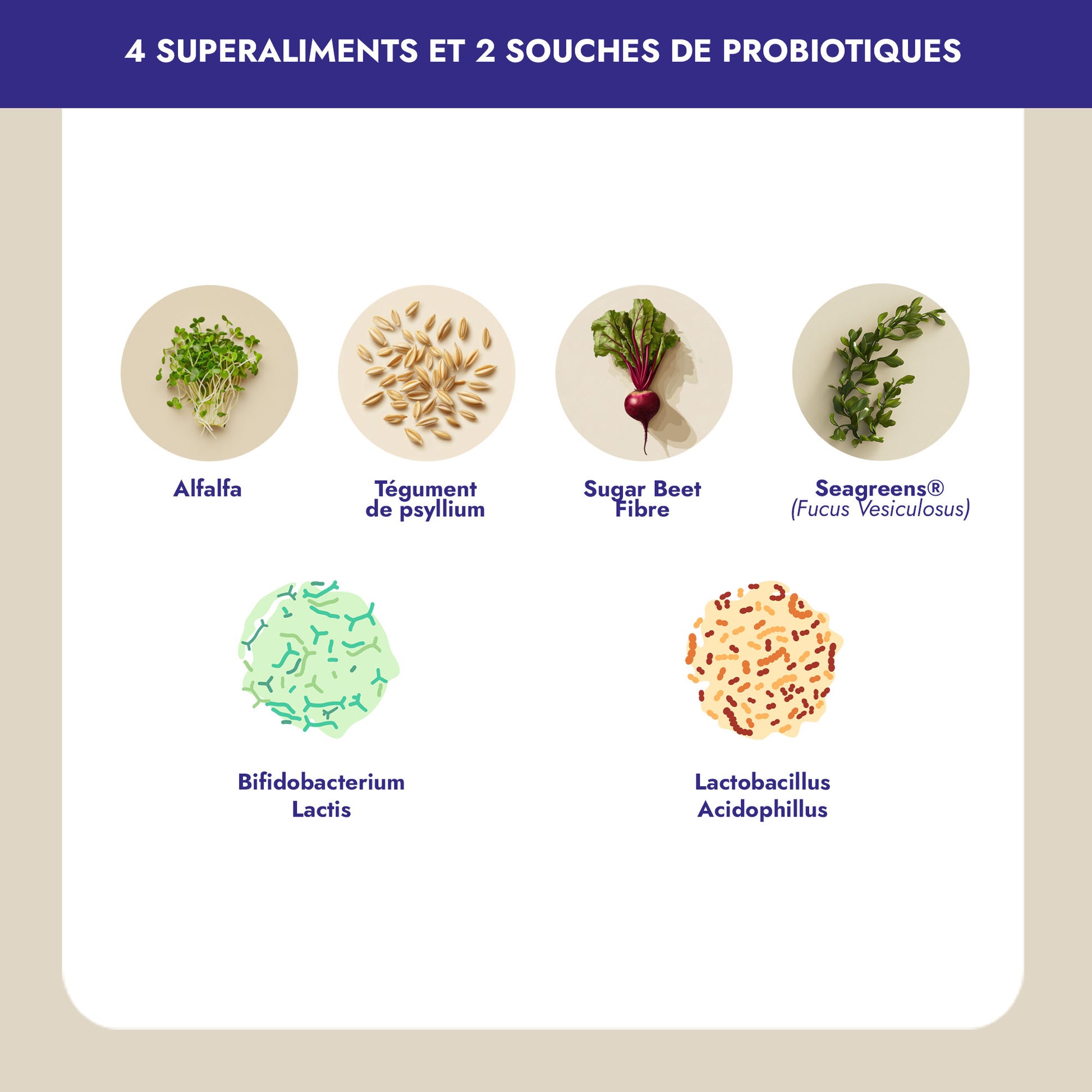 Imaginez commencer chaque journée avec une énergie renouvelée. Avec Bonjour, 17 vitamines, minéraux, fibres et probiotiques s’unissent pour vous offrir exactement ça : vitalité, immunité renforcée, et un coup de pouce contre la fatigue.