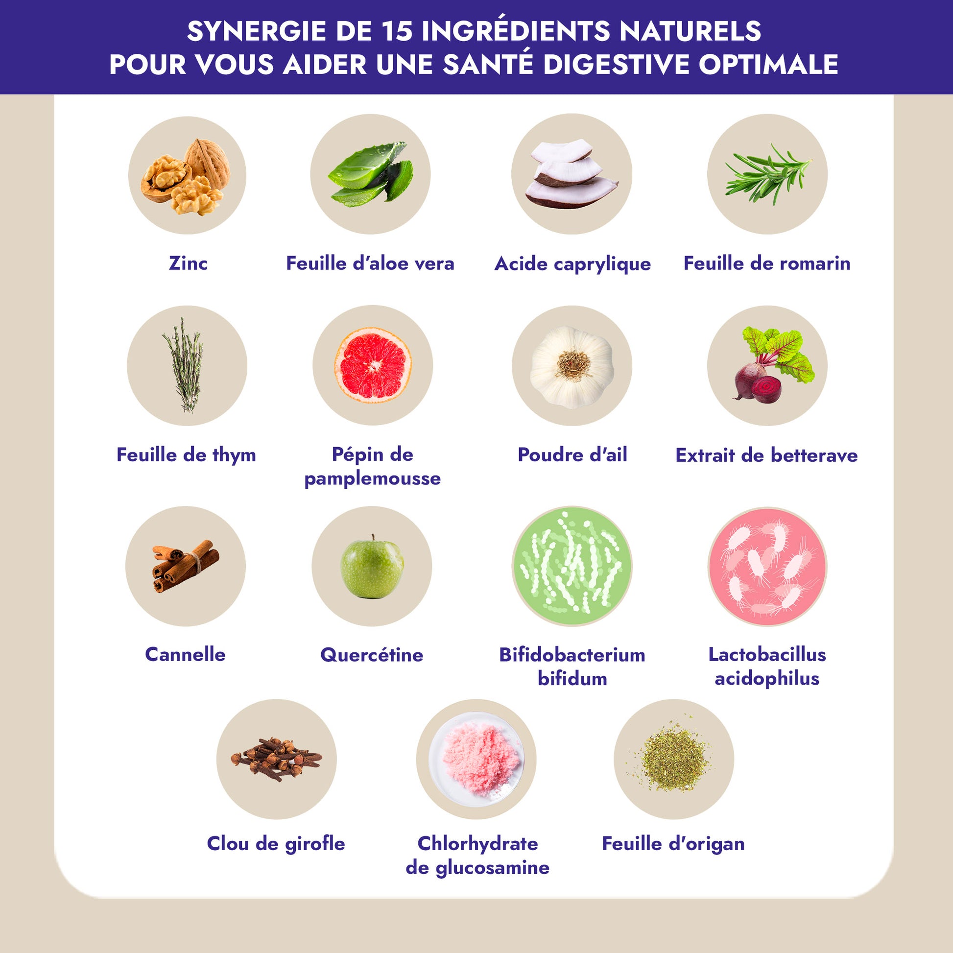 Bouquet de Flore est votre solution pour une digestion saine et une détoxification efficace pendant la ménopause. Cette formule unique, enrichie en plantes actives et probiotiques, combat la prolifération de Candida, soulage les ballonnements et les gaz, et renforce votre immunité.