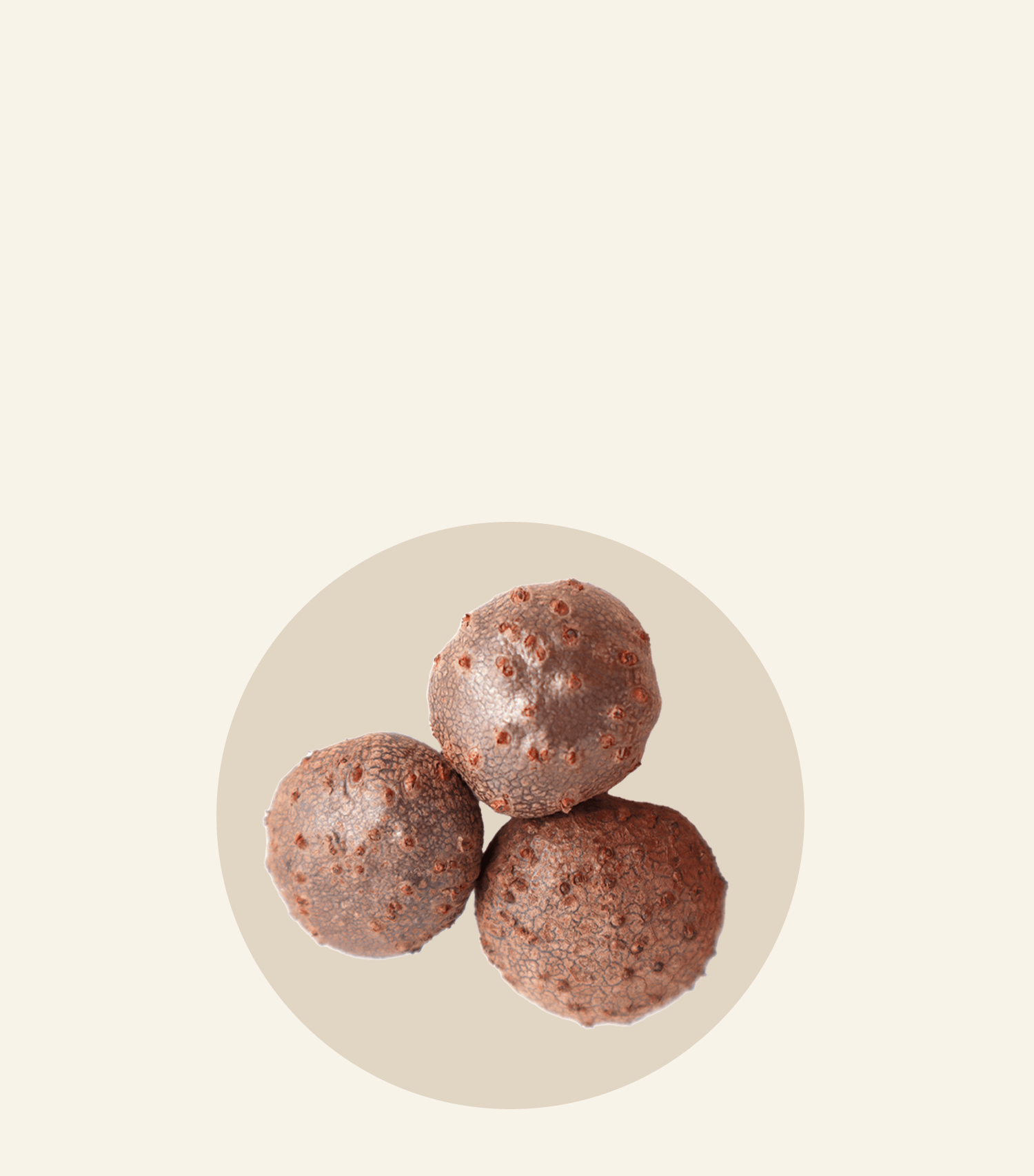Three chocolate-covered Oh La La ingredients shaped into bite-sized balls against a minimalist background.
