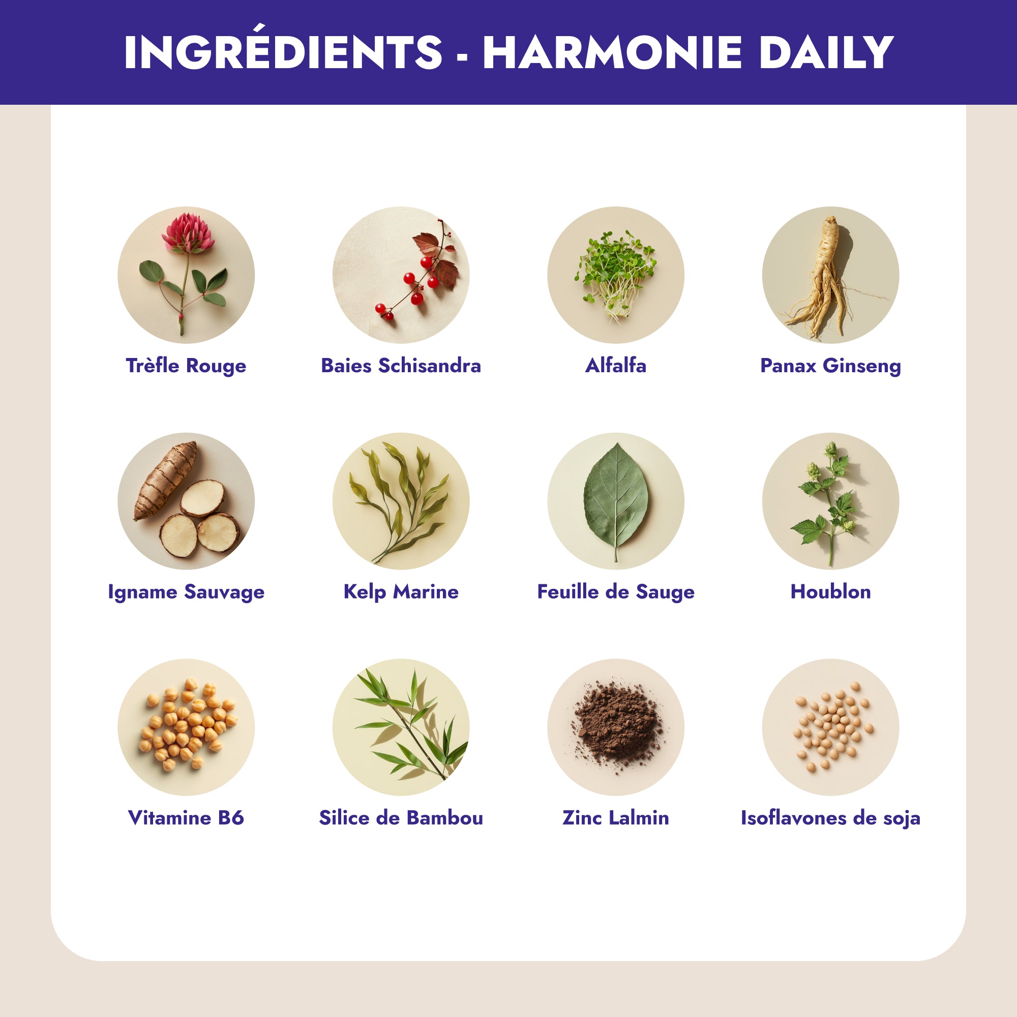 Pack Soulagement total - Laboratoires üma sas 