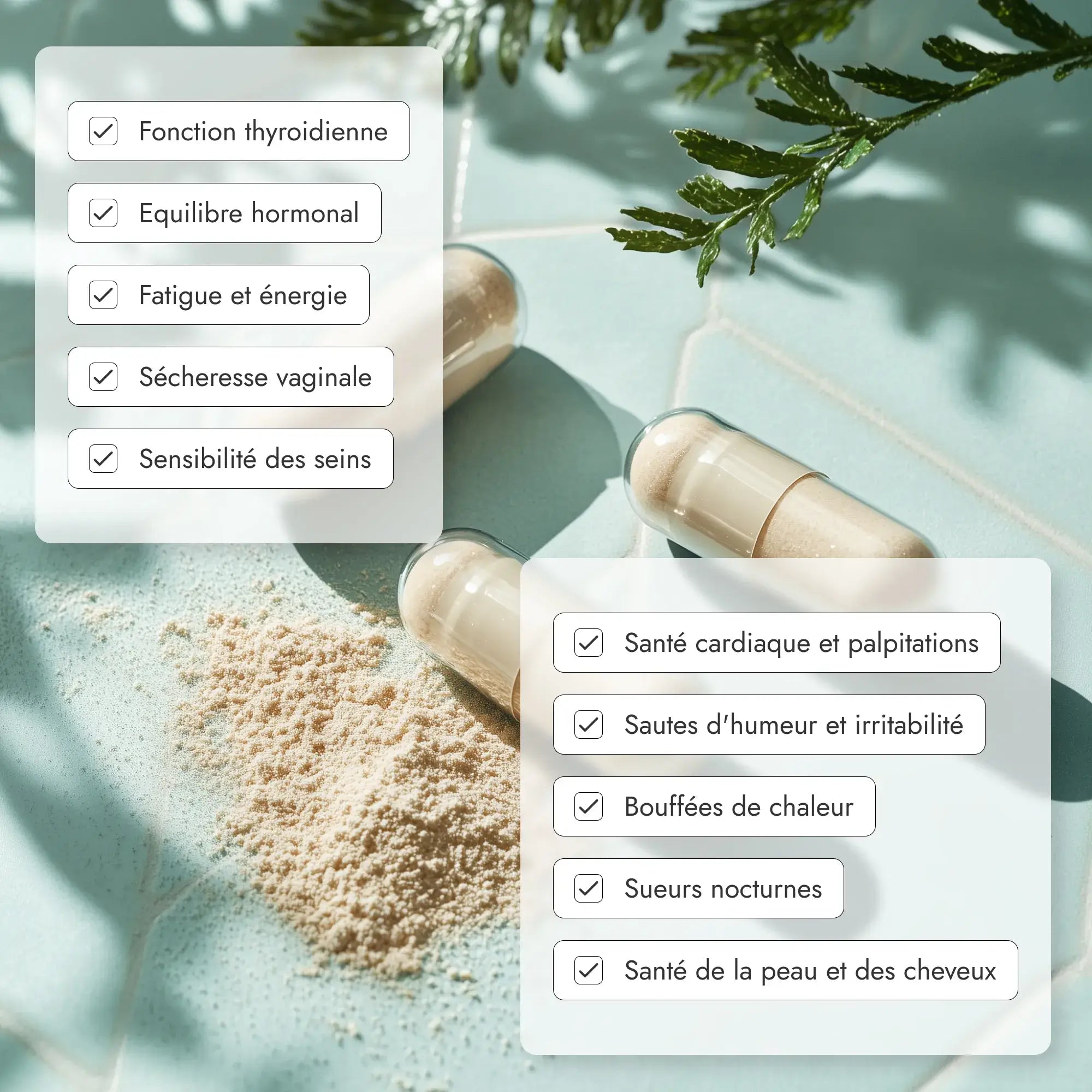 Harmonie Daily® procure un soulagement immédiat et durable aux femmes souffrant d’un ou plusieurs symptômes de la ménopause, afin qu'elles puissent rester actives toute la journée et mieux dormir la nuit.