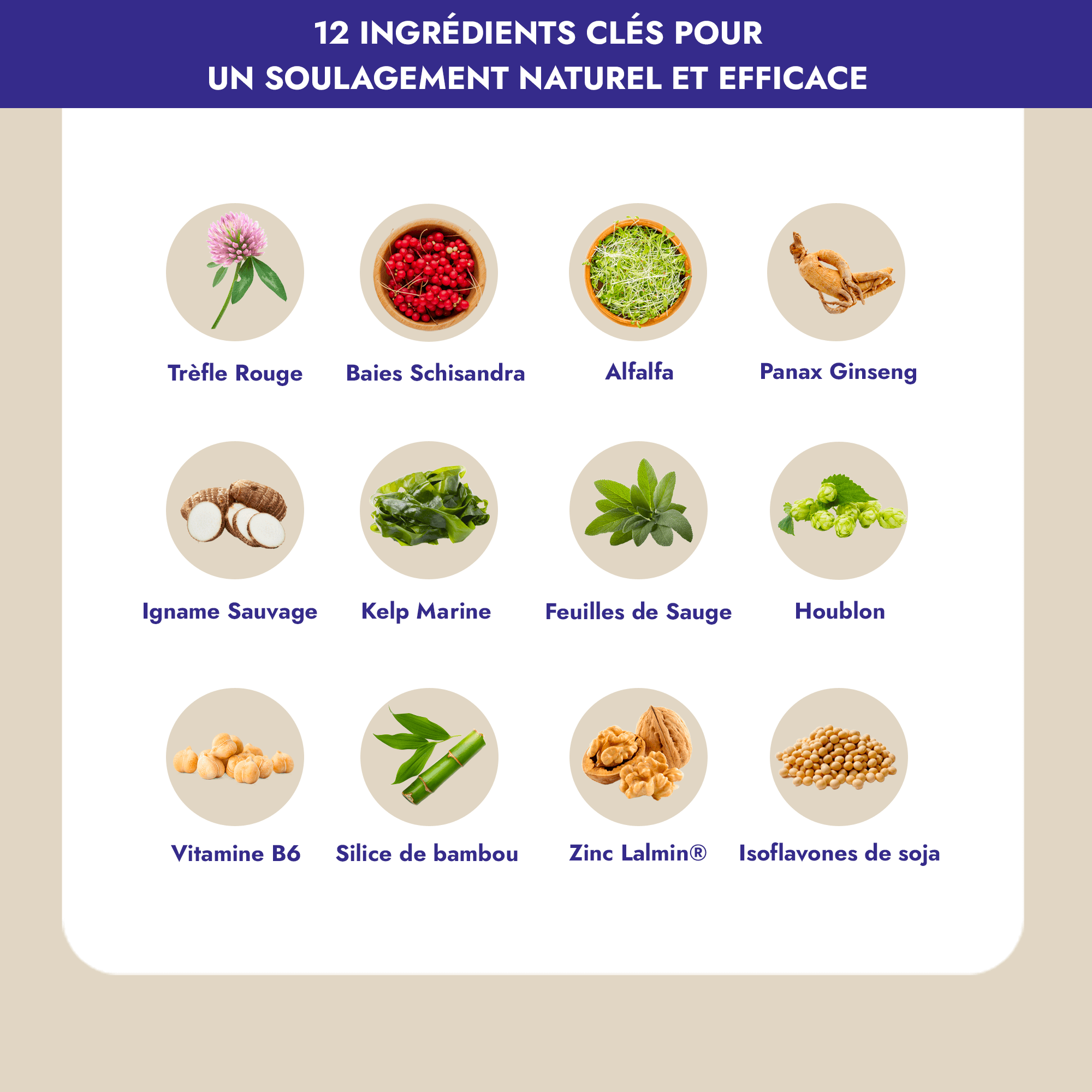 Harmonie Daily® procure un soulagement immédiat et durable aux femmes souffrant d’un ou plusieurs symptômes de la ménopause, afin qu'elles puissent rester actives toute la journée et mieux dormir la nuit.