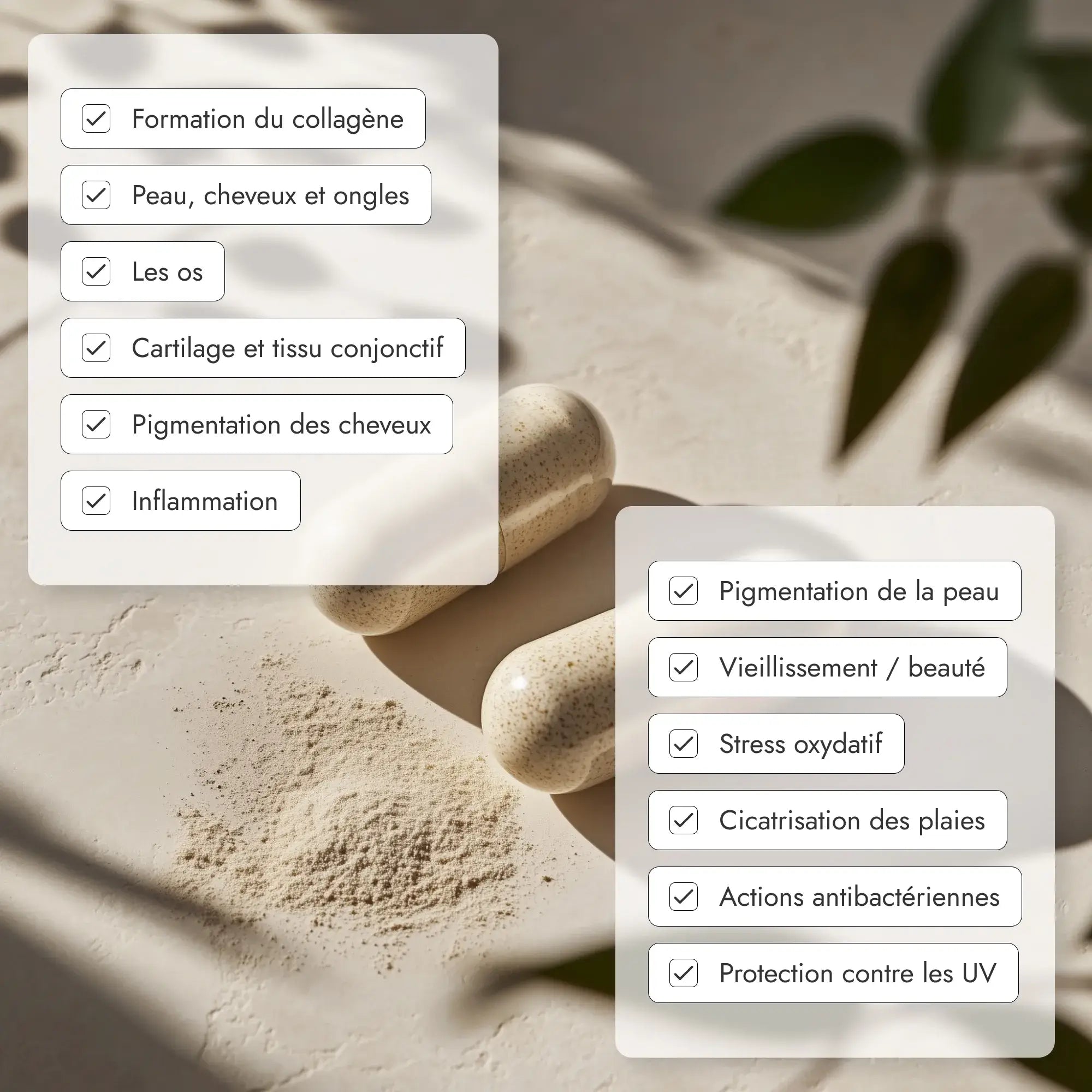 Iconique Collagène® restaure durablement le collagène et les nutriments affectés par la baisse du taux d'œstrogène, améliorant l'apparence de vos cheveux, de vos ongles et de votre peau, tout en les protégeant contre les lésions futures.