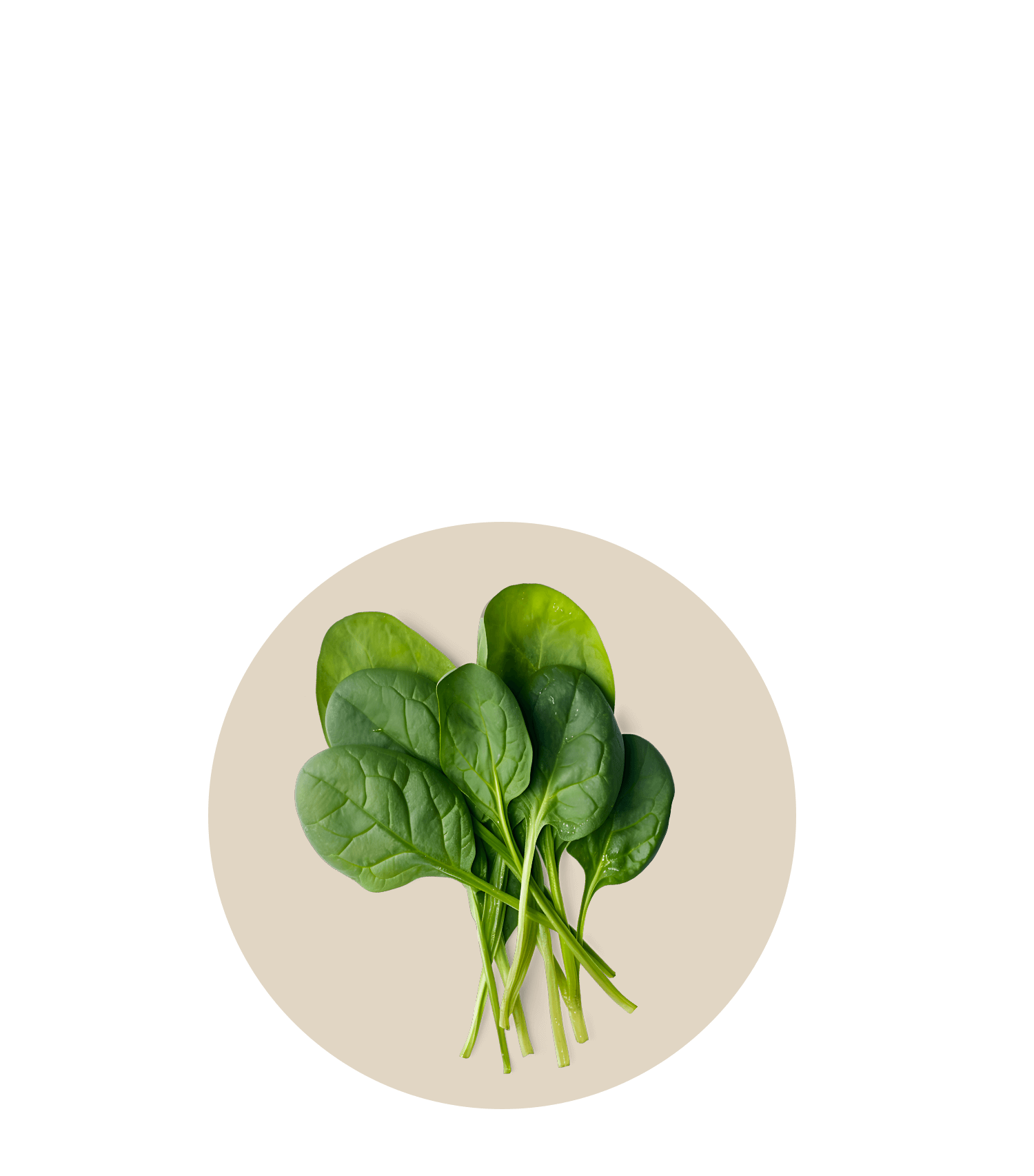 Iconique Collagène® est un complément alimentaire anti-âge et anti-imperfections formulé avec du collagène marin, de l’acide hyaluronique et l’astaxanthine, conçu pour restaurer et protéger les cheveux, les ongles et la peau affectés par le déclin du taux