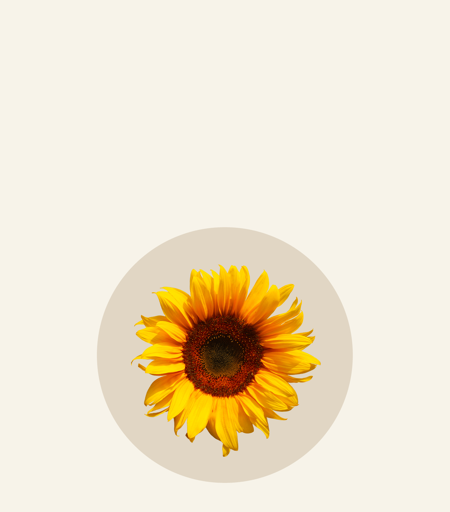 Iconique Collagène® est un complément alimentaire anti-âge et anti-imperfections formulé avec du collagène marin, de l’acide hyaluronique et l’astaxanthine, conçu pour restaurer et protéger les cheveux, les ongles et la peau affectés par le déclin du taux