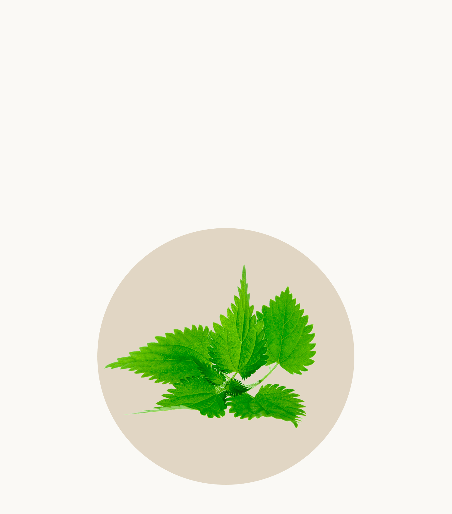 Nettie leaf Reneva menopause