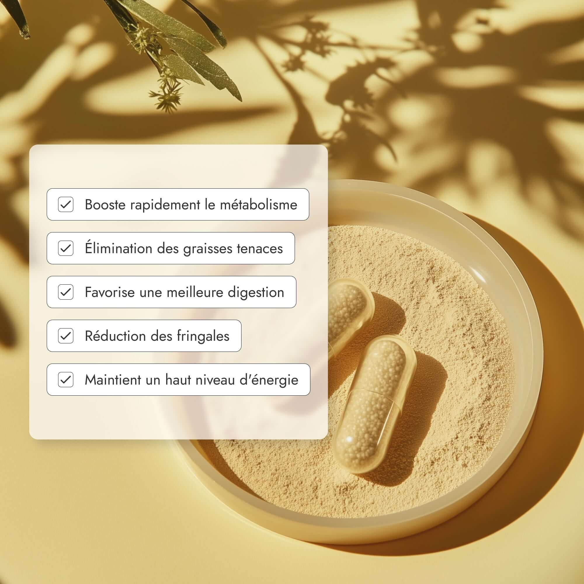 Pack Perte de Poids Express - Laboratoires üma sas 