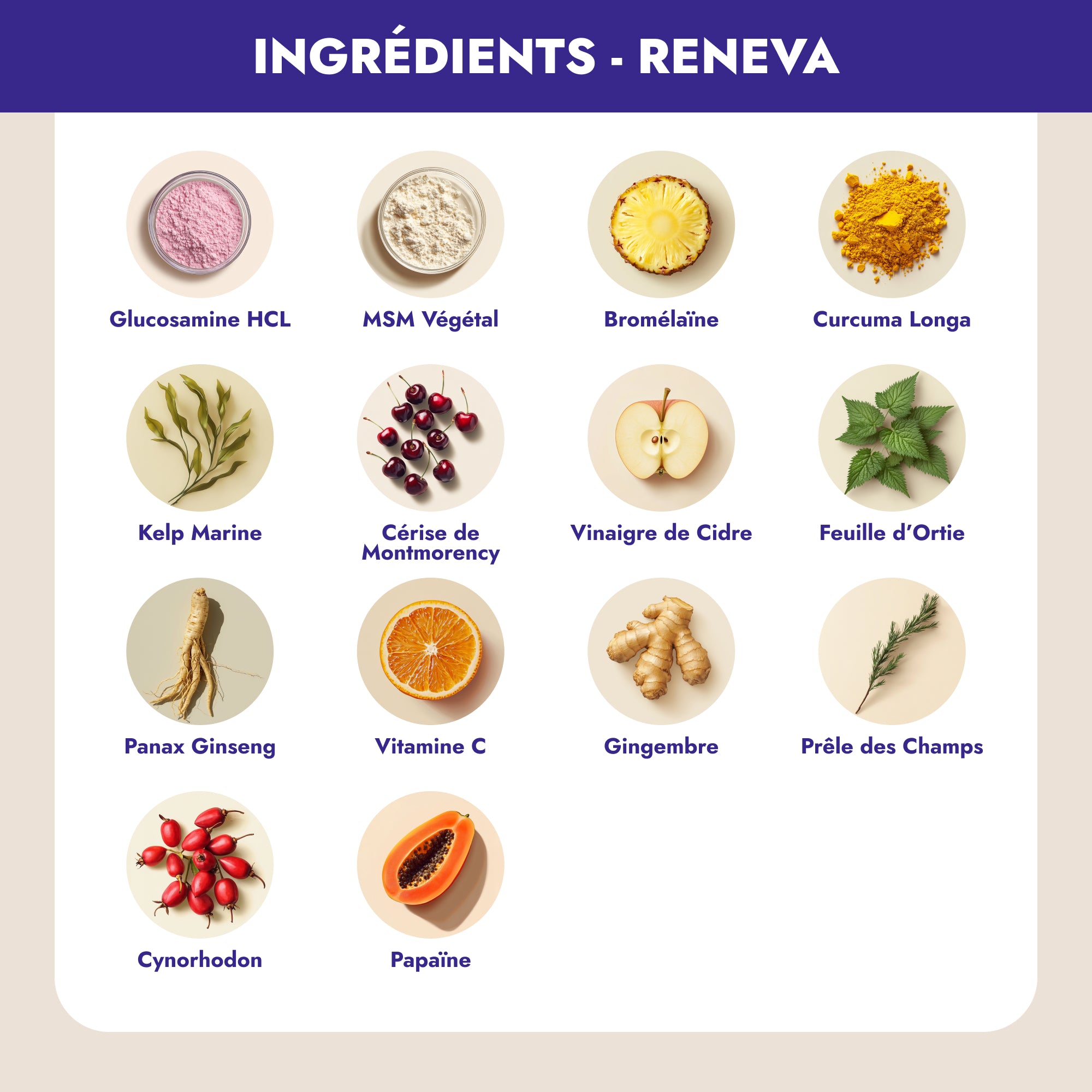 Reneva c'est une synergie inédite de 14 ingrédients naturels pour une réponse directe et innovante aux défis articulaires et osseux de la ménopause. Jour après jour, retrouvez souplesse et mobilité pour une vie active sans douleur.