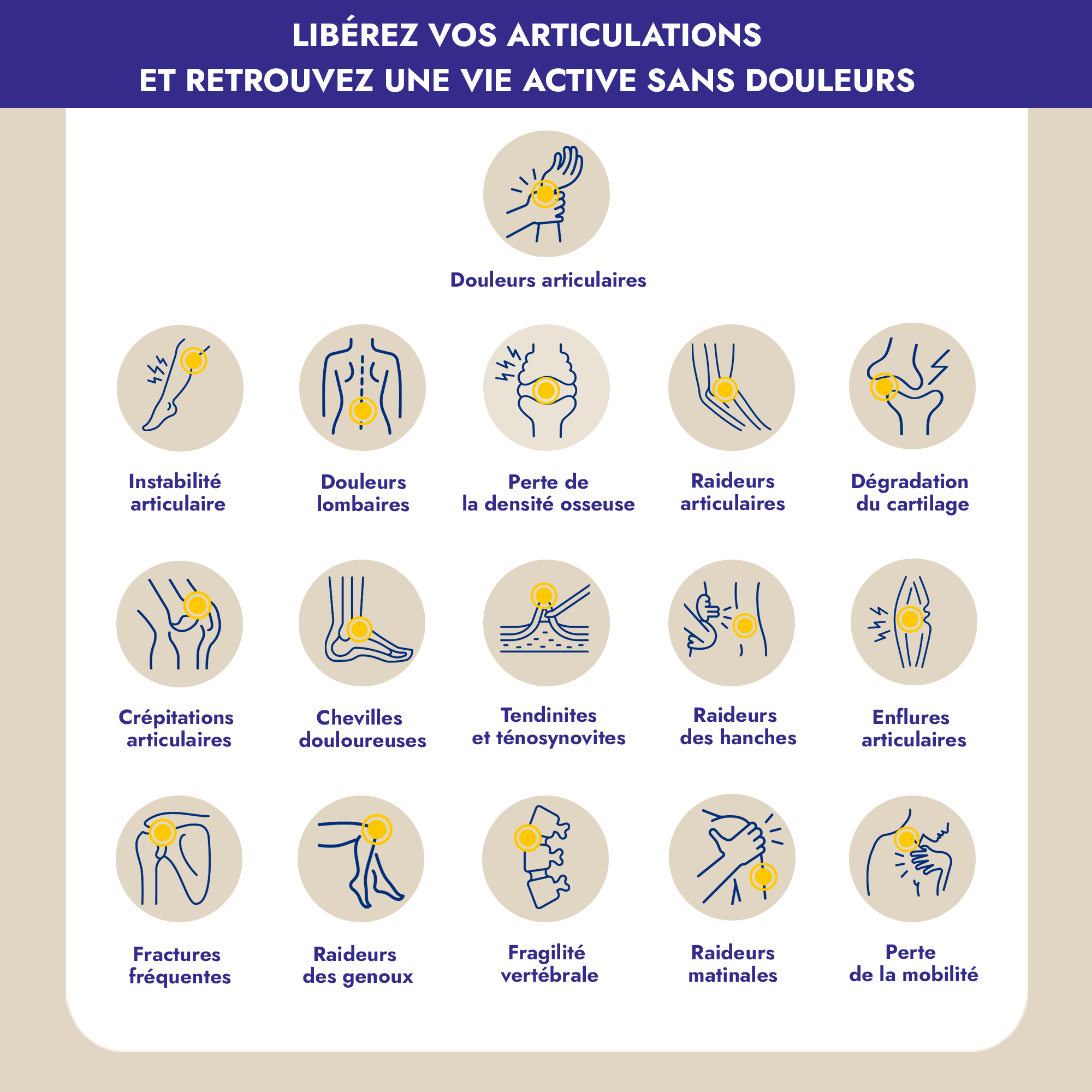 Reneva c'est une synergie inédite de 16 ingrédients naturels pour une réponse directe et innovante aux défis articulaires et osseux de la ménopause. Jour après jour, retrouvez souplesse et mobilité pour une vie active sans douleur.