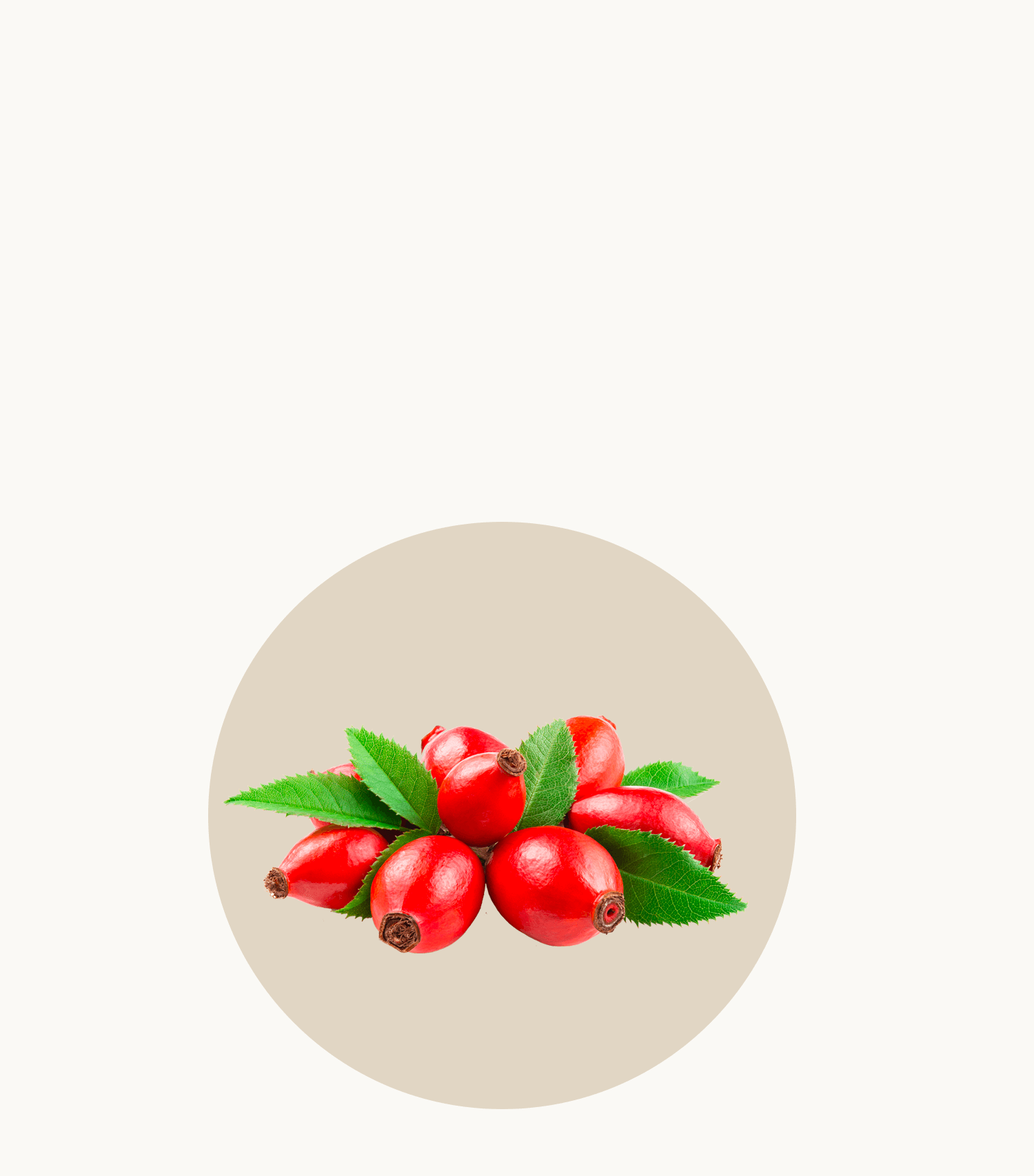 Rosehip Reneva menopause