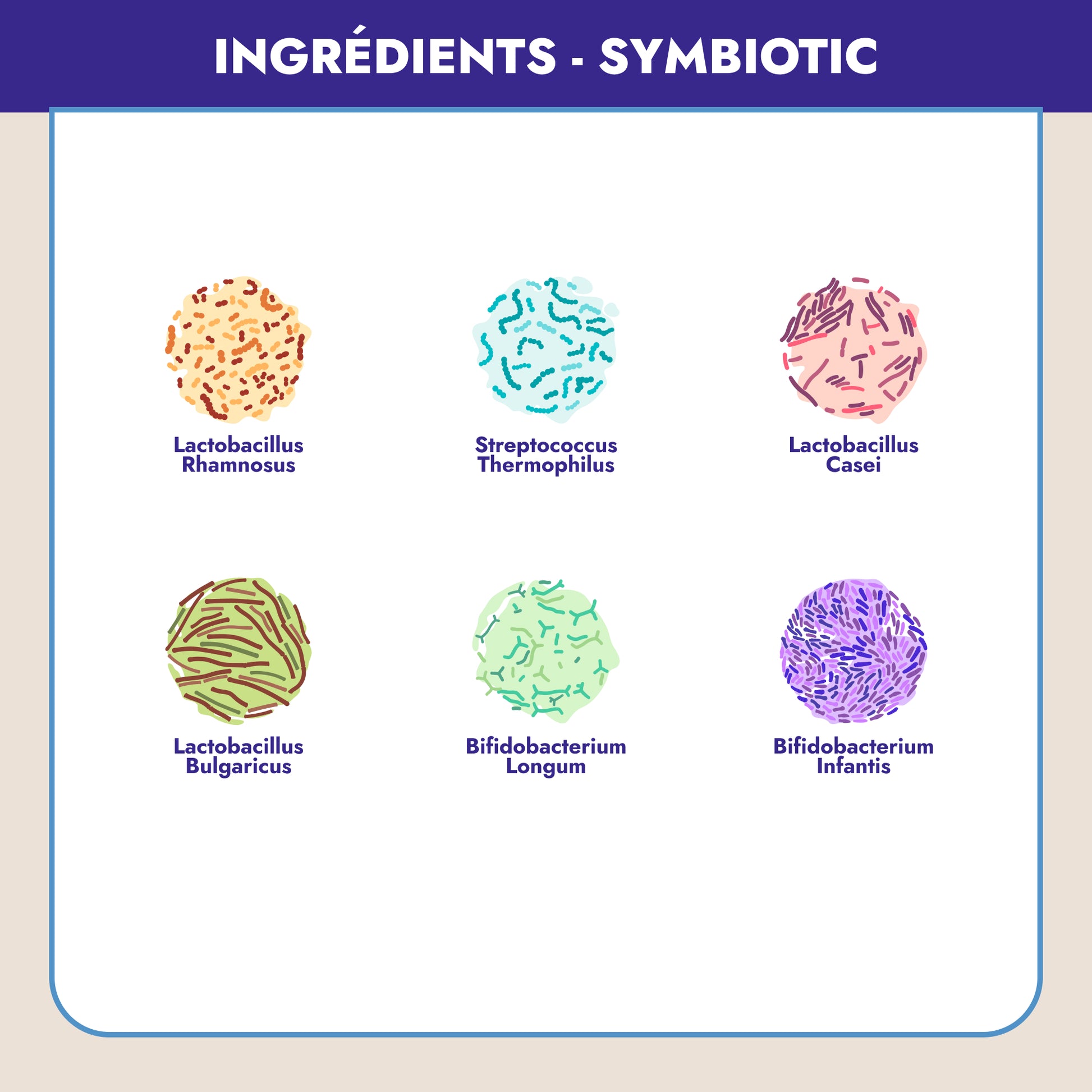 Symbiotic probiotiques est la dernière formule de probiotiques spécialement conçue pour la santé et le bien-être des femmes. Conçu exclusivement pour aider les femmes en période de périménopause, ménopause et postménopause, Symbiotic probiotiques combine action sur la flore vaginale et action sur la flore intestinale, pour un bien-être accru et un système immunitaire renforcé.