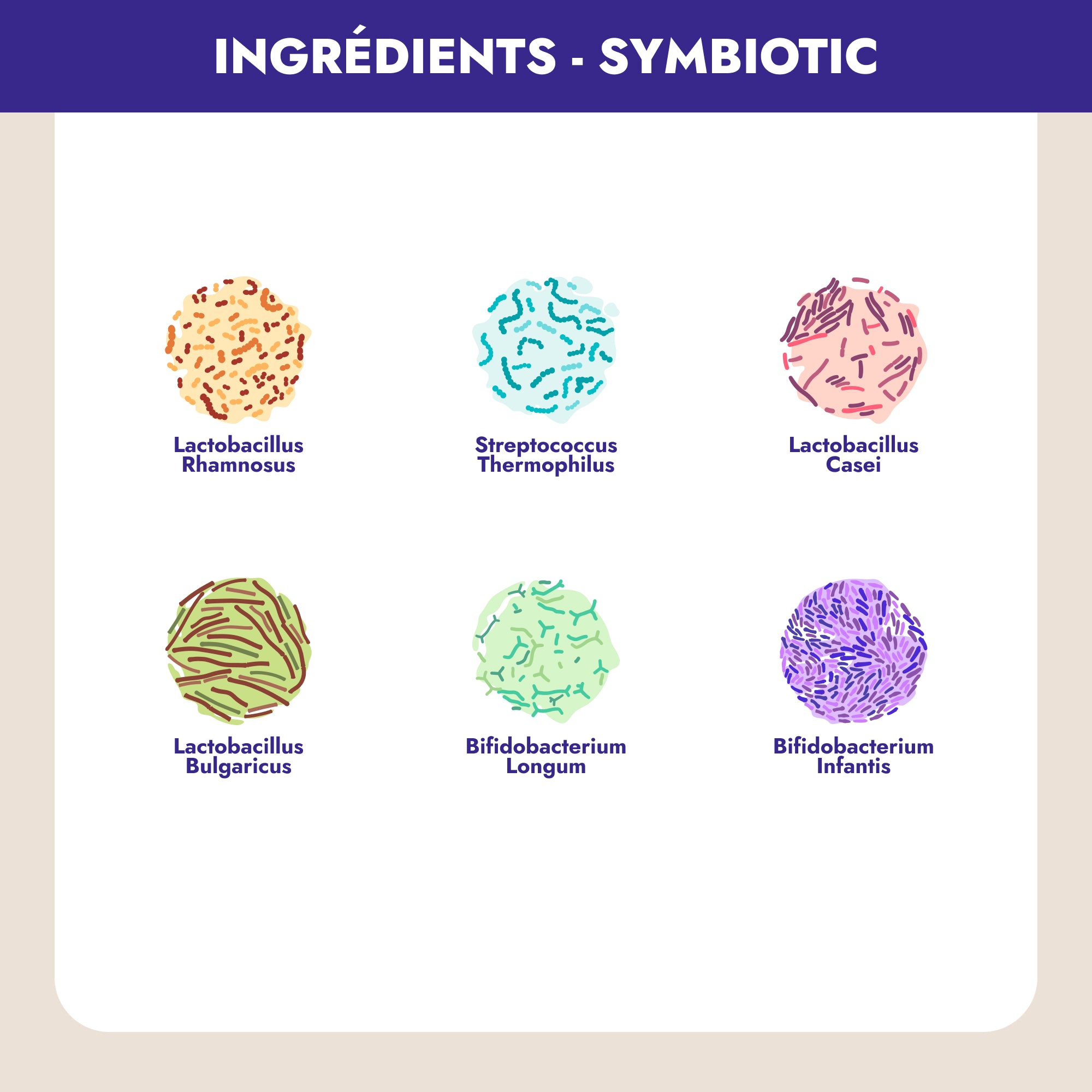 Symbiotic probiotiques est la dernière formule de probiotiques spécialement conçue pour la santé et le bien-être des femmes. Conçu exclusivement pour aider les femmes en période de périménopause, ménopause et postménopause, Symbiotic probiotiques combine action sur la flore vaginale et action sur la flore intestinale, pour un bien-être accru et un système immunitaire renforcé.