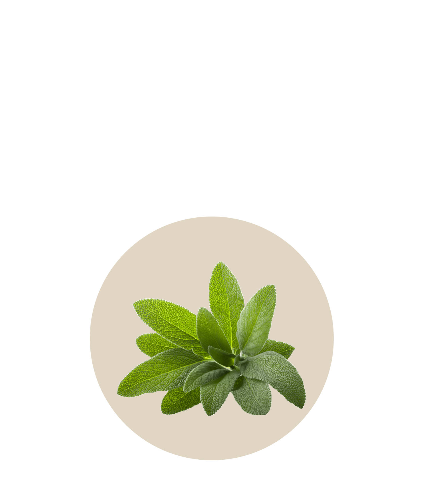 Harmonie Daily® procure un soulagement immédiat et durable aux femmes souffrant d’un ou plusieurs symptômes de la ménopause, afin qu'elles puissent rester actives toute la journée et mieux dormir la nuit.