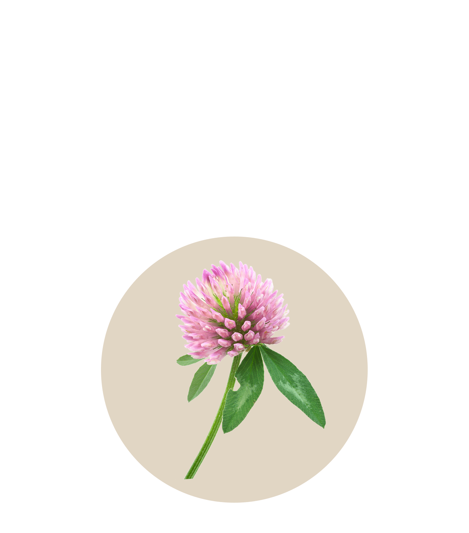 Harmonie Daily® procure un soulagement immédiat et durable aux femmes souffrant d’un ou plusieurs symptômes de la ménopause, afin qu'elles puissent rester actives toute la journée et mieux dormir la nuit.