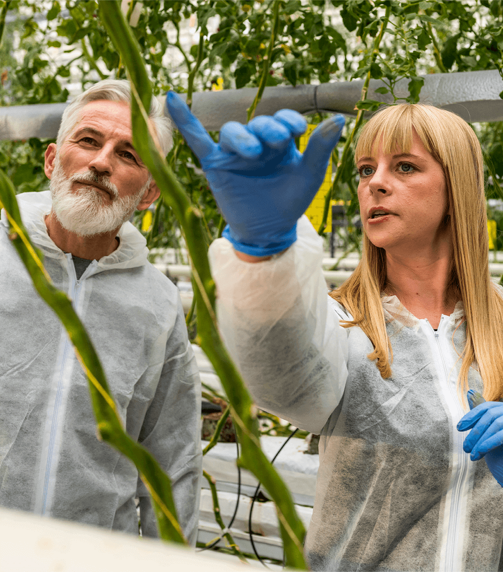 Researchers in lab coats examining plants in a greenhouse, highlighting sustainability in Laboratoires uma science.
